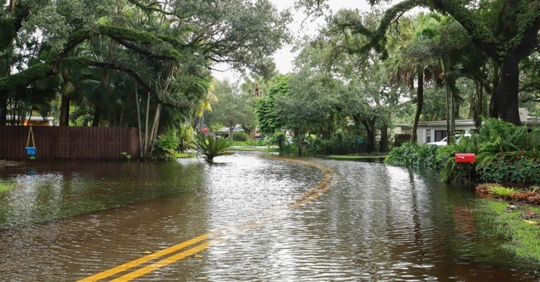 Florida storm