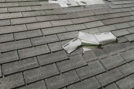 shingle roof