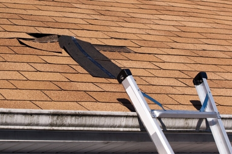 shingle roof damage